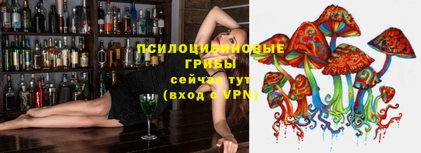 амф Пестово