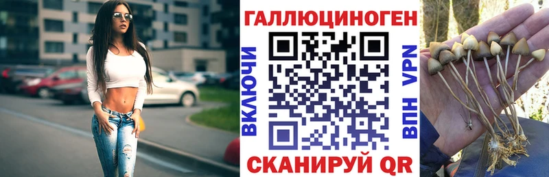 как найти закладки  Печоры  Галлюциногенные грибы Psilocybe 